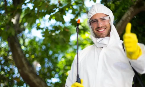 Deratizare si Dezinsectie Bucuresti – Solutii Profesionale pentru un Mediu Curat