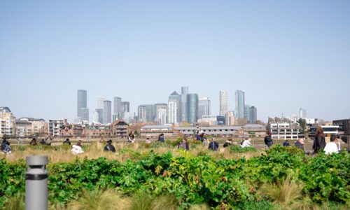 Secretele unui trai în armonie cu natura chiar în oraș