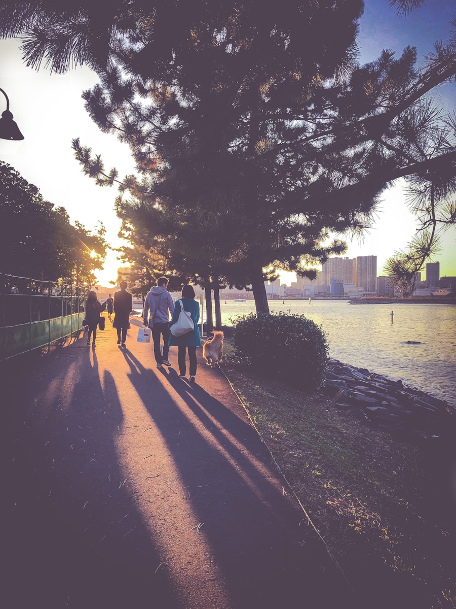 Photo "How to improve your city life by developing healthy habits"