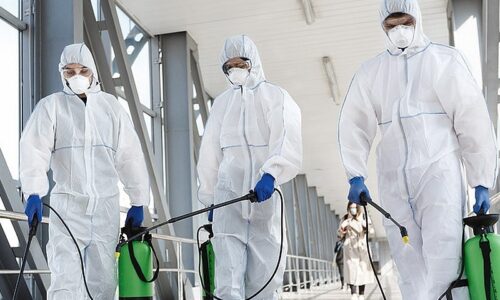 Soluții eficiente de atac pentru firmele de deratizare cum să alegi și să optimizezi serv