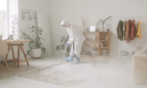 Soluții eficiente pentru combaterea dăunătorilor: Servicii deratizare oferite de firme DDD profesionale