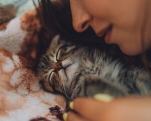 Photo dreams with animals