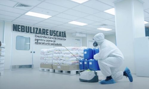 Compania DDD® – Dezinsecție și deratizare la standarde europene: Cum alegem siguranța sanitară pentru acasă și pentru afacere