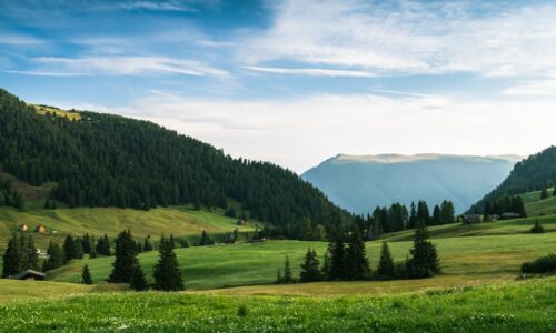 Cum să devii antrenor personal pentru clienți VIP