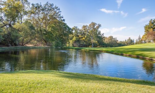 Rolul intelectualului în viața publică: De la cafenelele literare la X (Twitter)