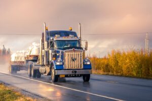 Photo transportation