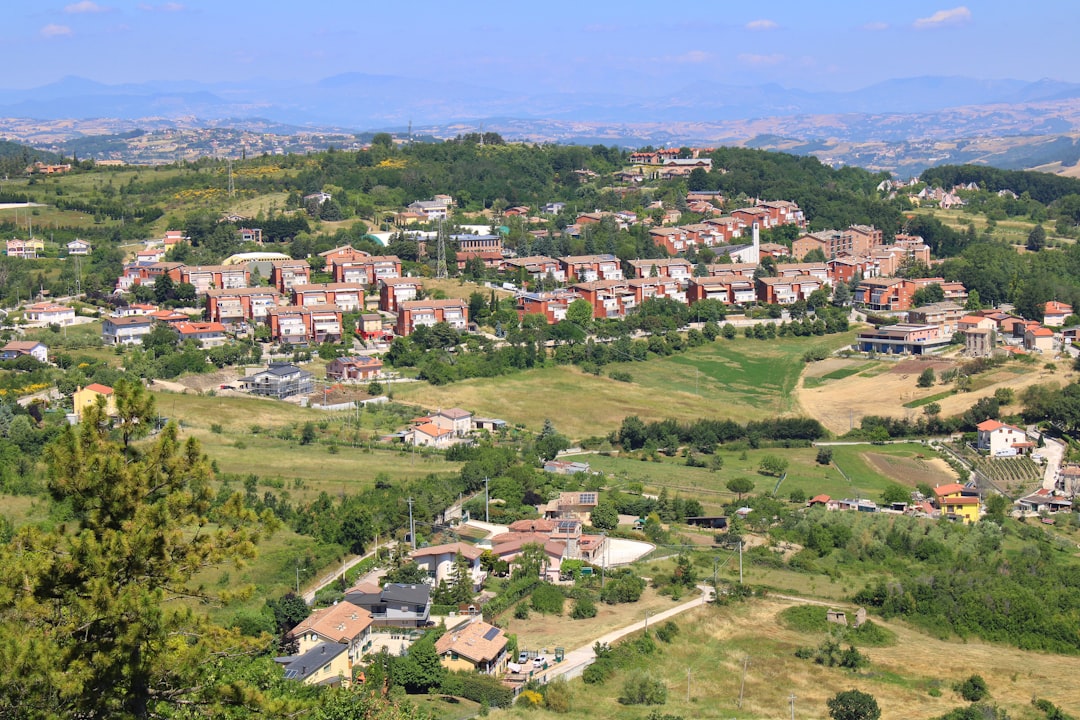 Photo obiceiuri