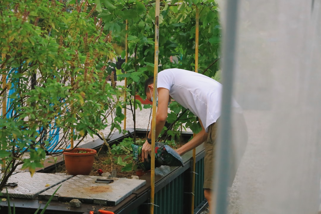 Photo Urban gardening