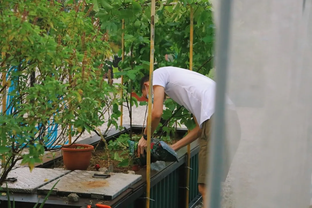 Photo Urban gardening