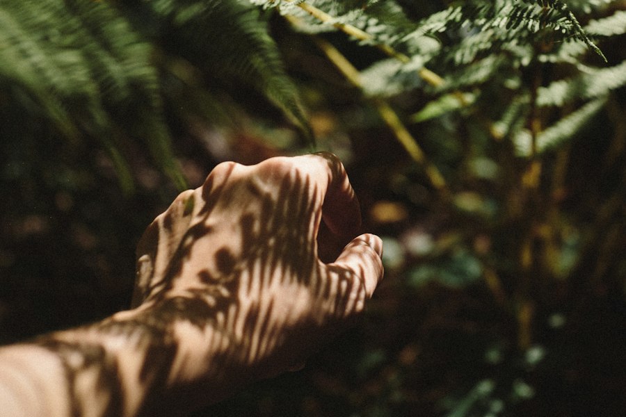 relationship between humans and nature