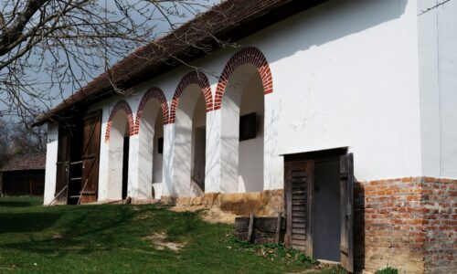 De ce anumite meserii vechi au dispărut aproape complet