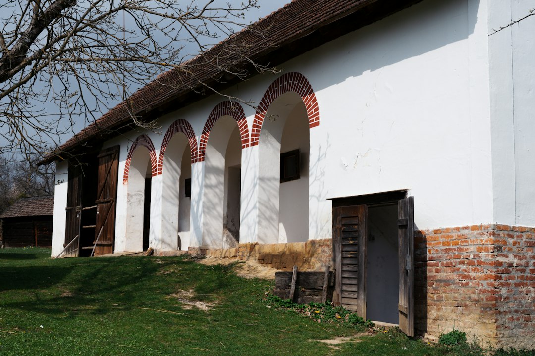 Photo meserii vechi