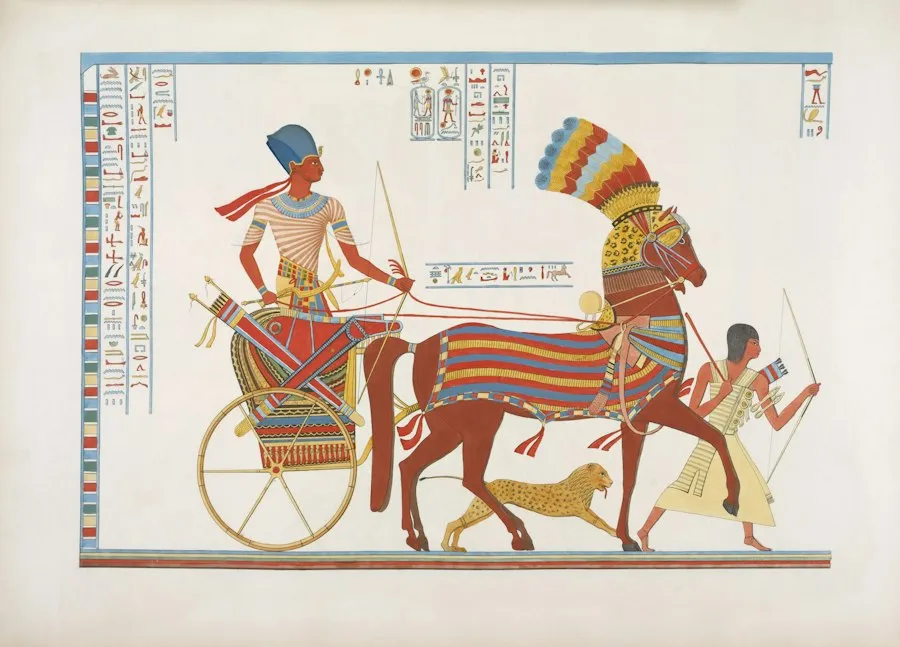 life in the past century analysis